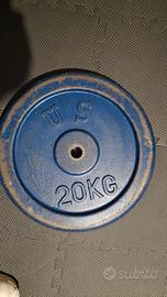 dischi 20kg in ghisa