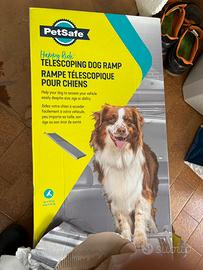 Rampa telescopica