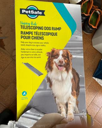 Rampa telescopica