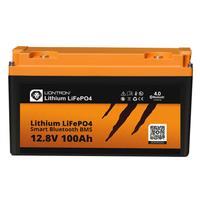 Batteria Litio Liontron LiFePO4 12.8V 100A