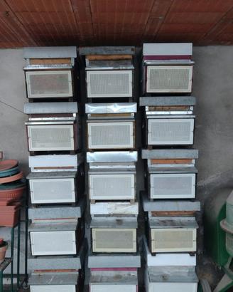 Arnie con Portichetto