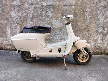 bianchi orsetto 80cc