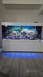 acquario 240 litri
