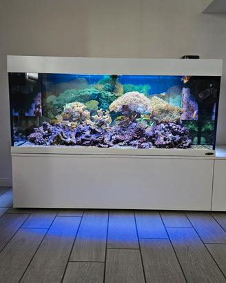acquario 240 litri