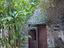 Immagine 30