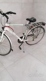 bici da uomo classica carnielli