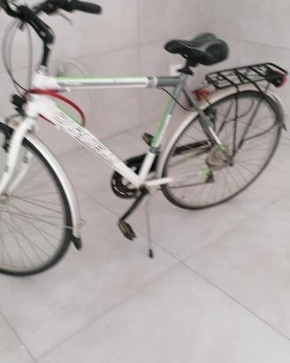 bici da uomo classica carnielli