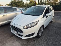 Ford Fiesta 1.4 5 porte Bz.- GPL Business
