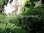 Immagine 27