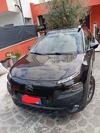 C4 cactus 16 hdi