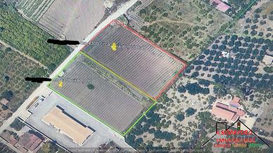 Terreno Contrada Pollastra (Rif.1649)