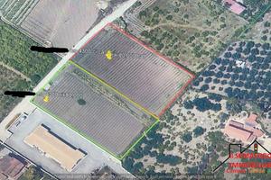 Terreno Contrada Pollastra (Rif.1649)