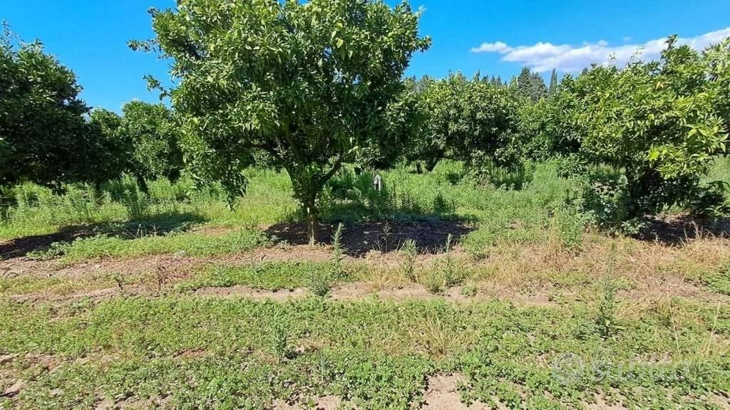 Immobile in asta di 3875 m² a Candidoni - Vista 3