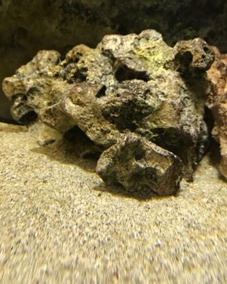Rocce resina acquario