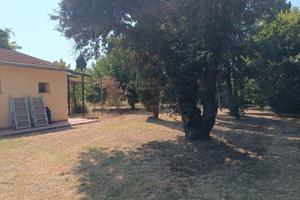 Porzione di casale