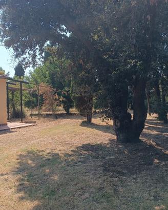 Porzione di casale
