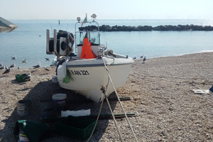 Barca da pesca Conero 2005 con licenza