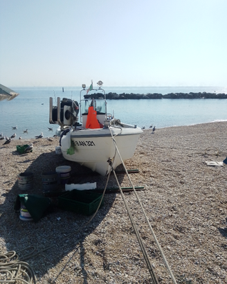 Barca da pesca Conero 2005 con licenza