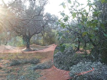 Terreno con rustico