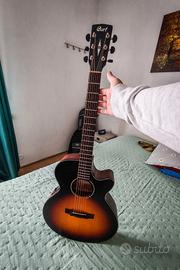 chitarra acustica amplificata 