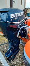 Ricambi evinrude etec 40 cv