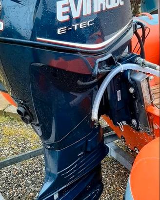 Ricambi evinrude etec 40 cv