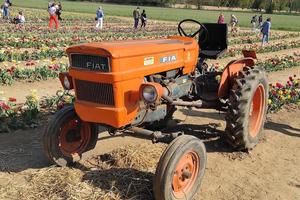 Trattore agricolo  Modello Fiat 550 4 cilindri