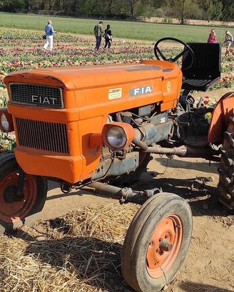 Trattore agricolo  Modello Fiat 550 4 cilindri