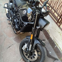 Benelli leoncino 500 04/2024