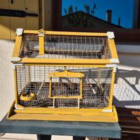 Gabbietta per uccellini