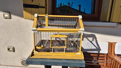 Gabbietta per uccellini