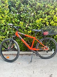 Bicicletta
