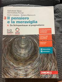 Il pensiero e la meraviglia 3A e 3B