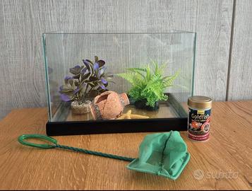 acquario completo con accessori