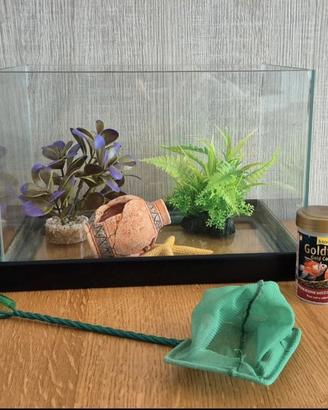acquario completo con accessori