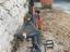 Immagine 2