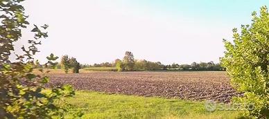 Terreno agricolo San Biagio di Callalta