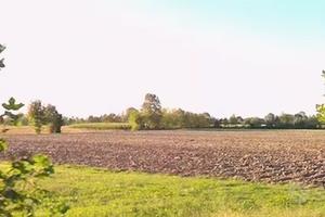 Terreno agricolo San Biagio di Callalta