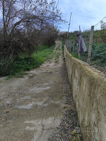 Casa con terreno