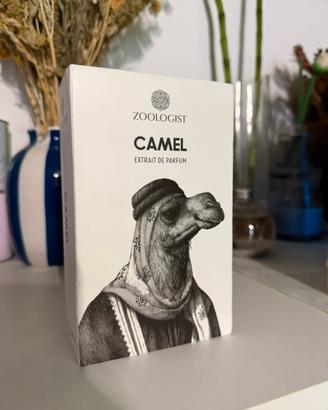 Zoologist Camel