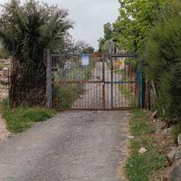 Monreale Strada Vicinale Barone Pezzingoli Terreno