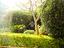 Immagine 26