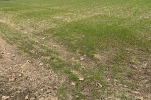 Terreno agricolo, 24.000 mq