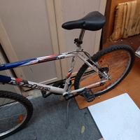 bicicletta Mountainbike