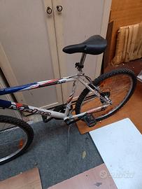 bicicletta Mountainbike