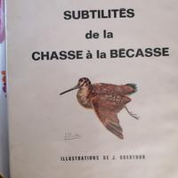 Subtilites de la chasse a la becasse