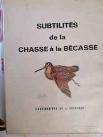 Subtilites de la chasse a la becasse