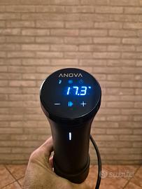 ANOVA precision cooker