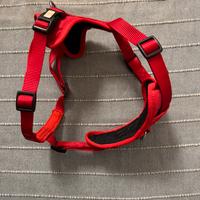 Pettorina rossa per cane medio-piccolo