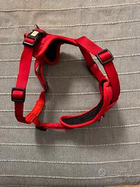 Pettorina rossa per cane medio-piccolo